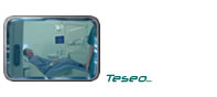 Teseo